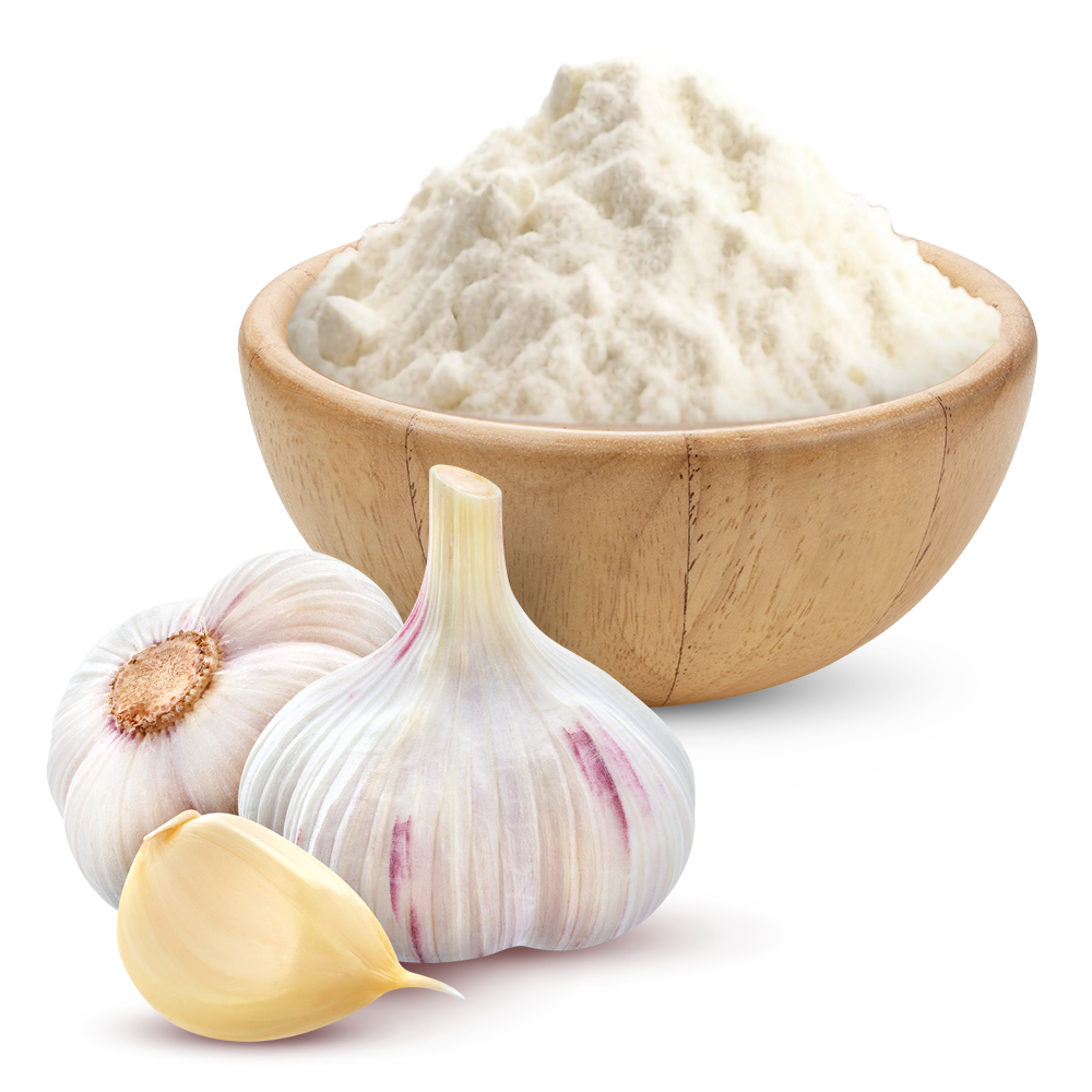 Garlic Powder (लहसुन पाउडर)